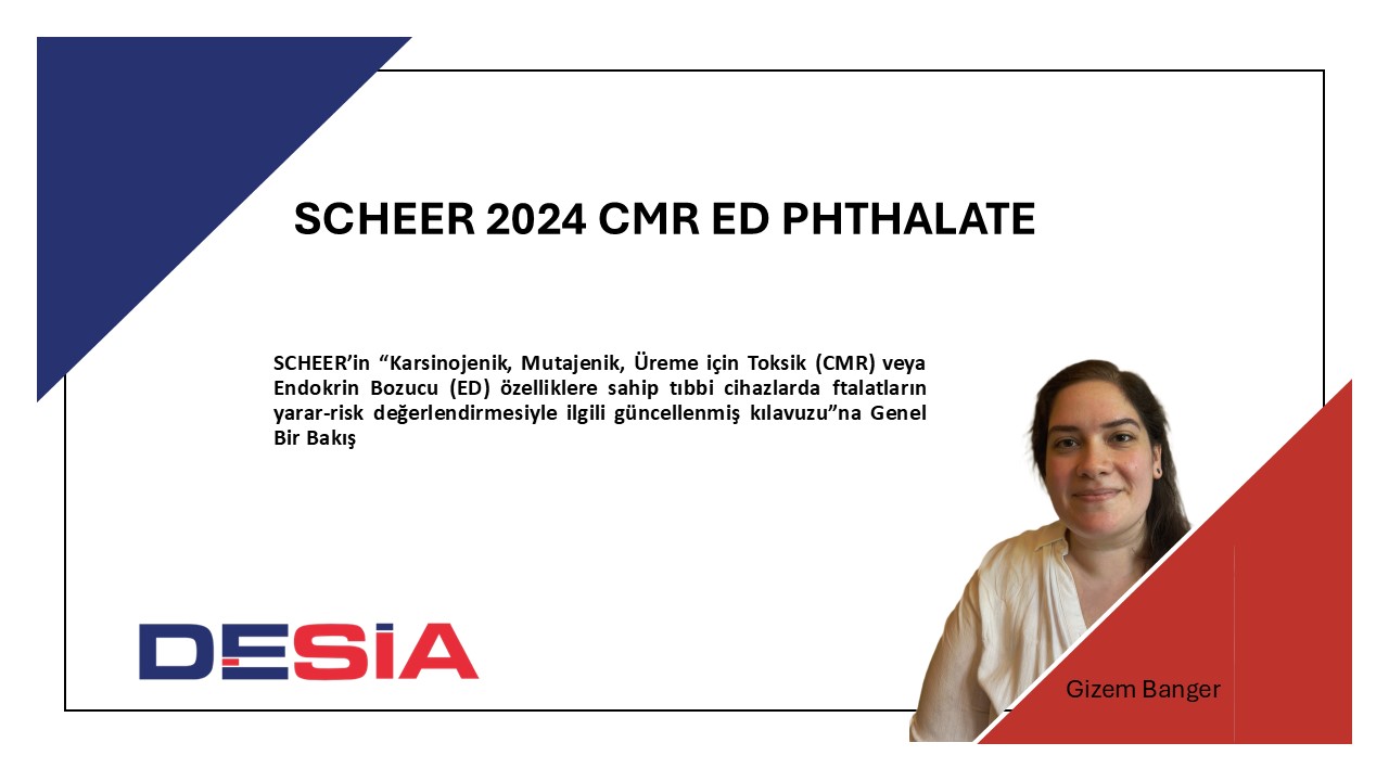 SCHEER 2024 CMR ED Phthalate